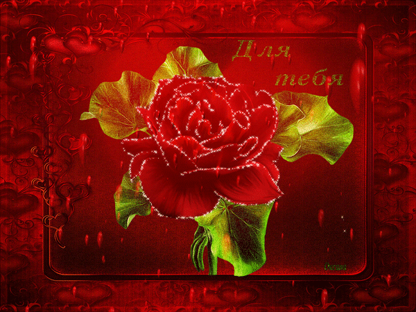 Анимированная открытка Для тебя Роза