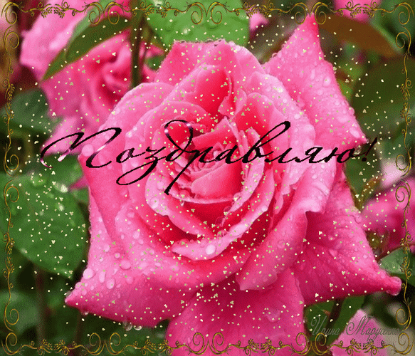Анимированная открытка Поздравляю! красивые розы