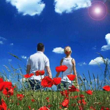 Анимированная открытка Мужчина и женщина на поле с маками