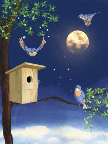 Анимированная открытка Сладких снов