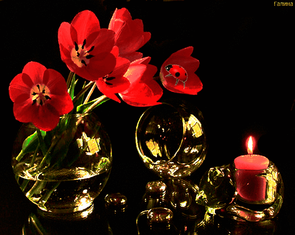 Анимированная открытка Красная свеча, тюльпаны в вазе