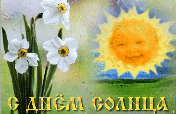 Анимированная открытка С днем солнца нарцисс обои