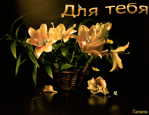 Анимированная открытка Для тебя фотонатюрморты с лилиями