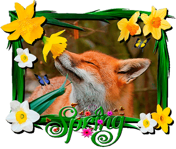 Анимированная открытка Spring цветы и животные