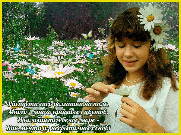 Анимированная открытка Распустились ромашки на поле, Много-много красивых цветов