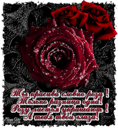 Анимированная открытка Ты красива словно роза! Только разница одна! Розу листья украшают! А тебя твои глаза!