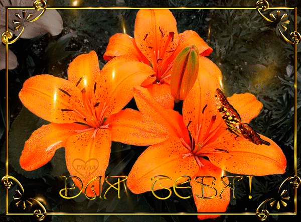 Анимированная открытка ДЛЯ ТЕБЯ! цветы оранжевые