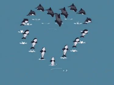 Анимированная открытка Дельфины Кит гиф