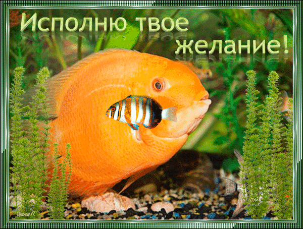 Анимированная открытка Исполню твое желание. Золотая рыбка