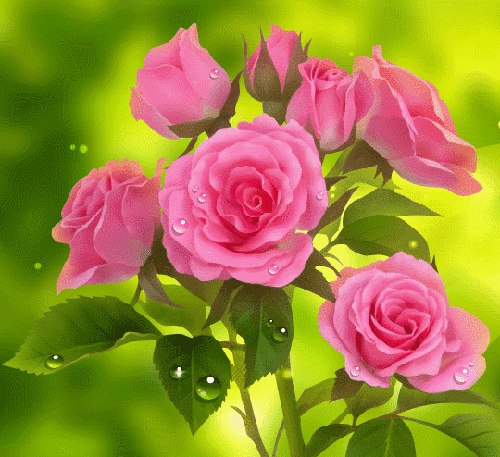 Анимированная открытка бабочка вьется вокруг розовых роз