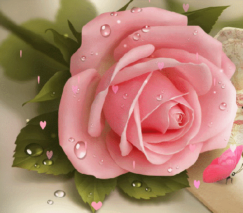 Анимированная открытка розовая роза с бабочкой и анимацией