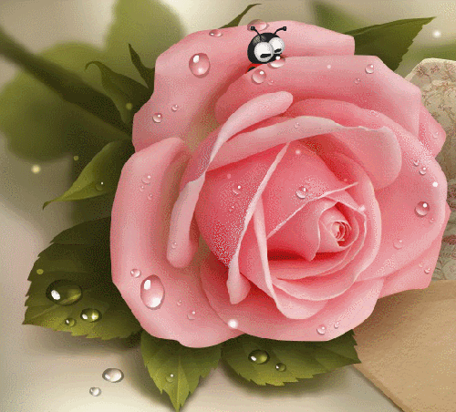 Анимированная открытка букашка выглядывает из лепестков розы