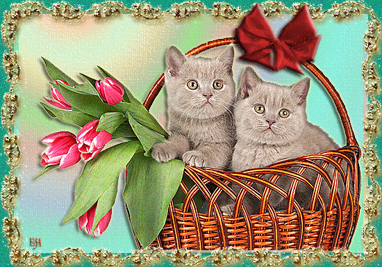 Анимированная открытка Котята в корзинке