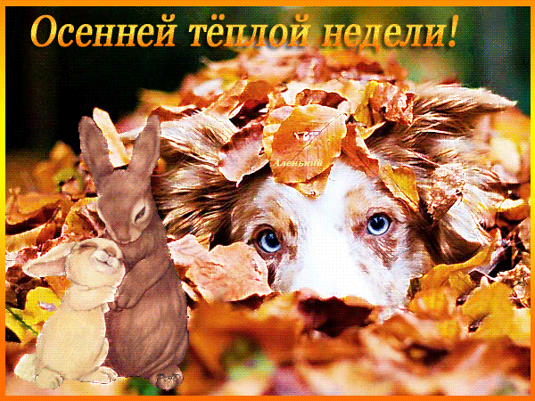 Анимированная открытка Осенней тёплой недели!