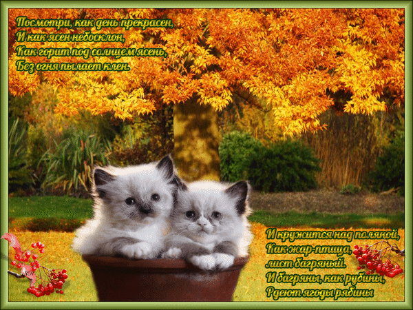 Анимированная открытка Осенний день