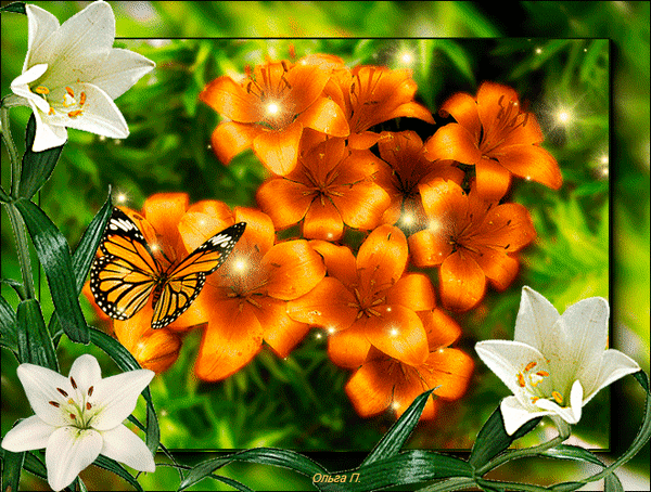 Анимированная открытка на изображении бабочка и цветы