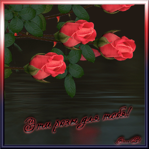 Анимированная открытка Эти розы для тебя!
