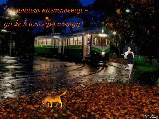 Анимированная открытка Осенний дождь - окутал город