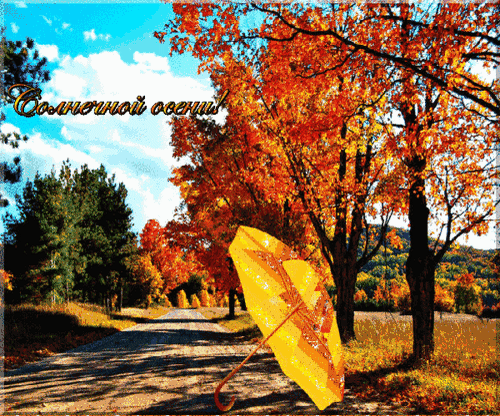 Анимированная открытка Солнечной осени