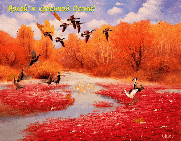 Анимированная открытка Открытка яркой и красивой Осени , для друзей
