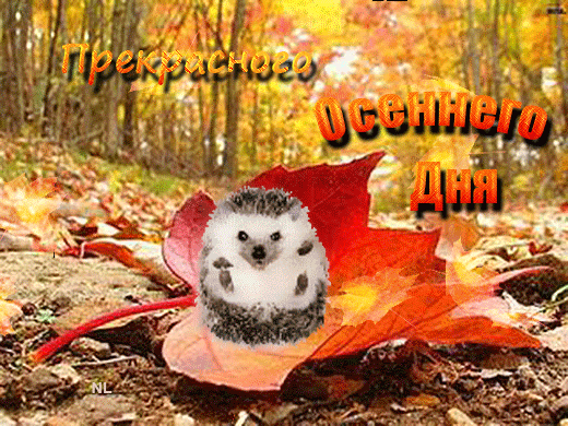 Анимированная открытка Прекрасного осеннего дня