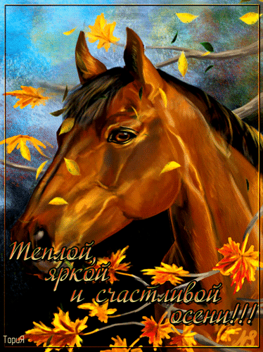 Анимированная открытка Теплой, яркой и счастливой осени!