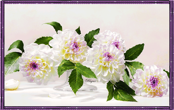 Анимированная открытка цветы