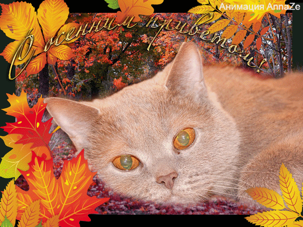 Анимированная открытка Осенний привет