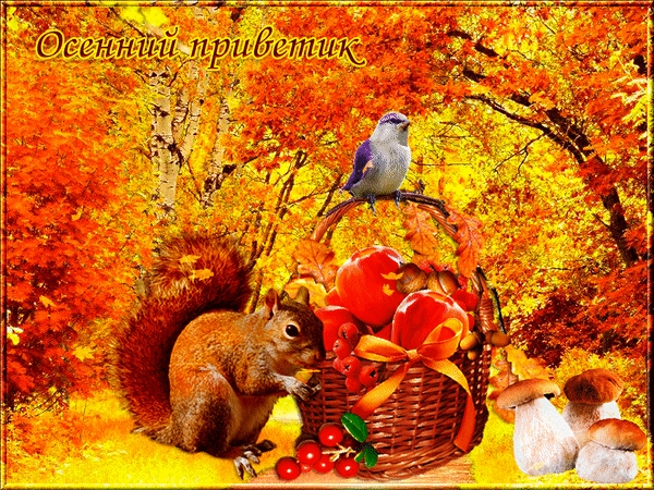 Анимированная открытка Осенний привет