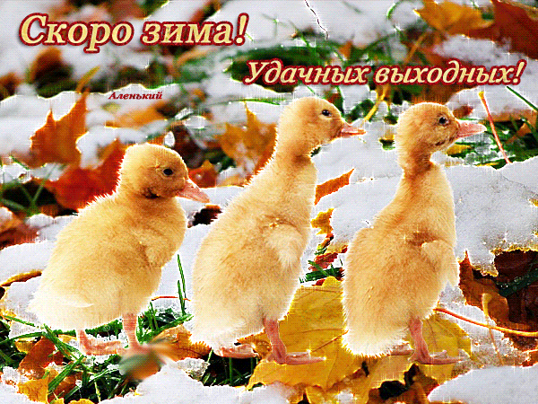 Анимированная открытка Скоро зима! Удачных выходных!!