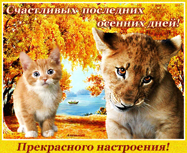 Анимированная открытка Счастливых последних осенних дней!