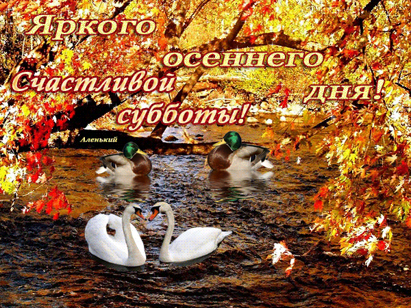 Анимированная открытка Яркого осеннего дня!!!