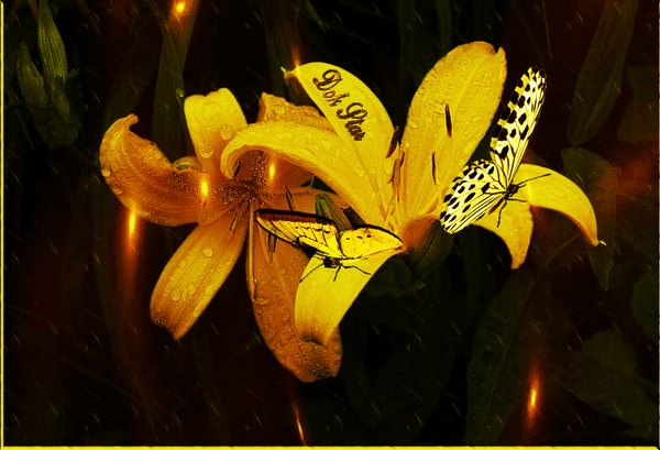 Анимированная открытка Цветы и бабочки