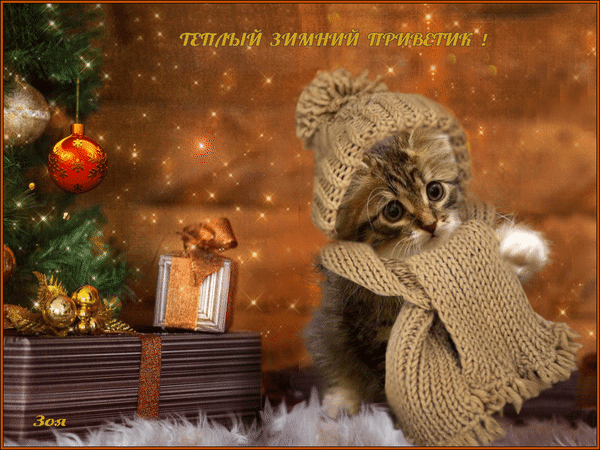 Анимированная открытка Теплый зимний привет